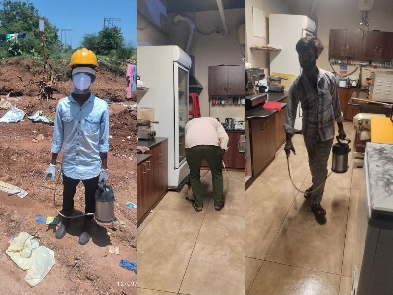 Pest Control Gallery 4